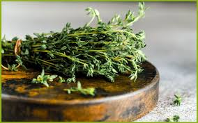 تصویر 1 از خرید و قیمت اویشن شیرازی تازه  + فروش صادراتی